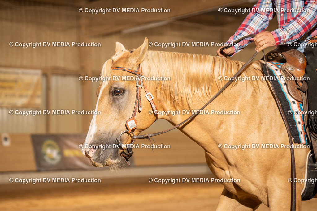 NID03579 | dv-media-shop - Realisiert mit Pictrs.com