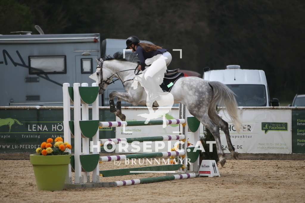 PP017531 | Willkommen bei Brunnmayr - Design & Fotografie – Ihrem Spezialisten für Reitturniere und Pferdeveranstaltungen in Oberösterreich, Salzburg und Bayern! Seit über 17 Jahren sind wir leidenschaftlich dabei.