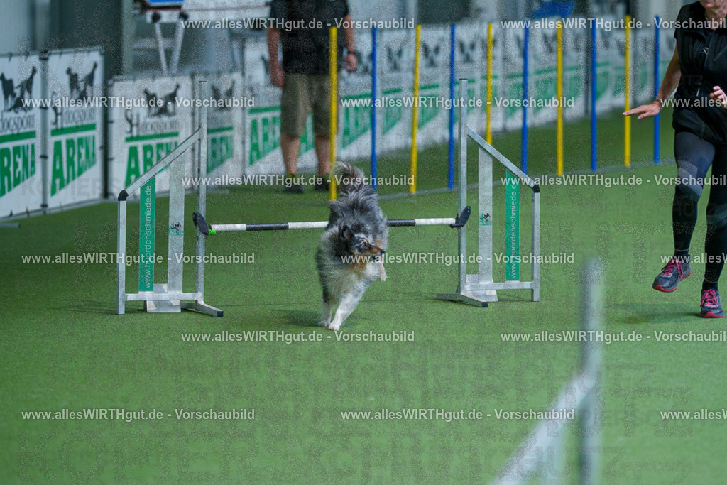 @allesWIRTHgut_Tierfotografie - www.allesWIRTHgut.de - 2604261458-7R504185 | Professionelle Tierfotografie in Mönchengladbach von Daniel Wirth (allesWIRTHgut). Liebevolle & natürliche Bilder von Hunden & Katzen für unvergessliche Erinnerungen.