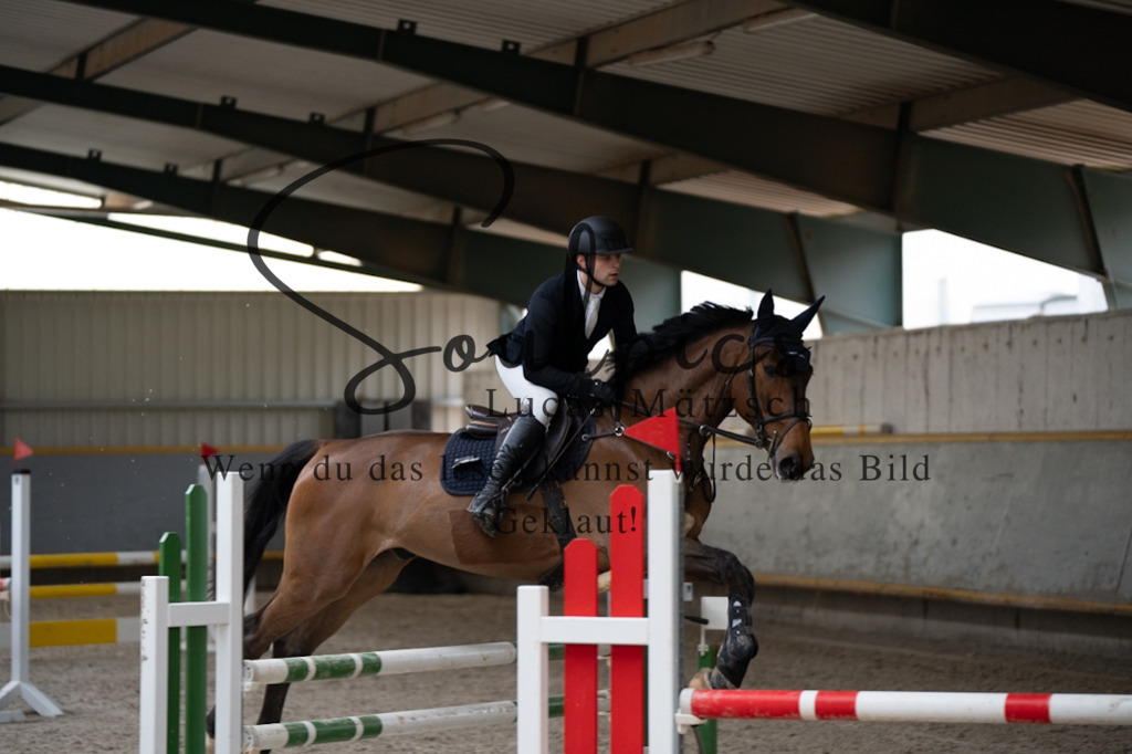 A7V03625 | Pferdefotograf