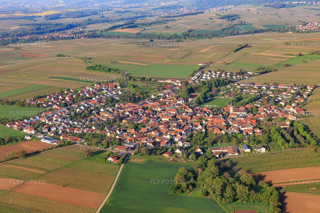 Luftbild: Ortsansicht von Osten im Ortsteil Mörzheim in Landau im Bundesland Rheinland-Pfalz in Deutschland. Foto: IMG_113934.jpg vom 01.05.2019 durch Werner Riehm/FLY-FOTO.de
