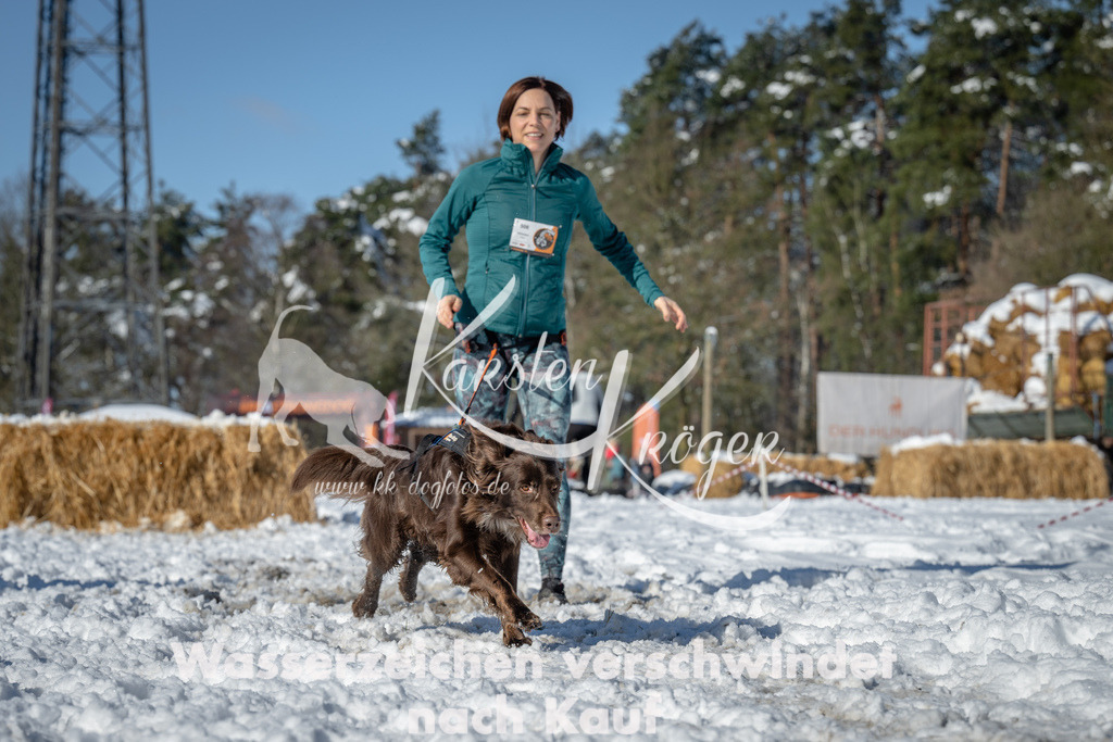 1052_ZZ93274-2 | kk-dogfotos