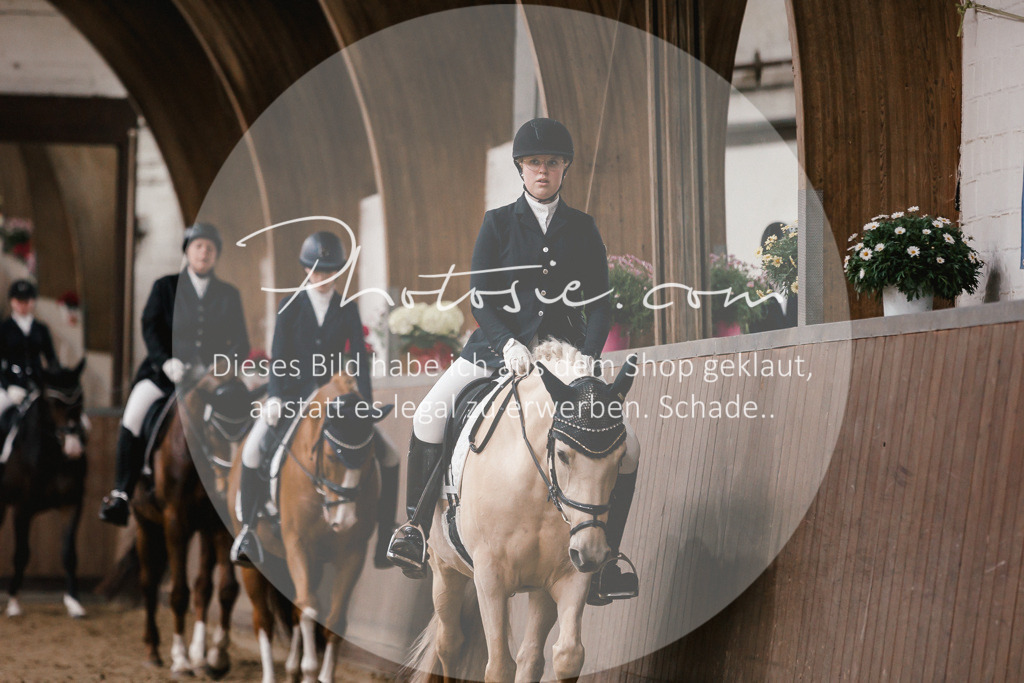 3I6A7166 | Stimmungsvolle Portraits und Reitsportfotografie im Ruhrgebiet und im Münsterland.

Pferdefotografie, Hundefotografie, Tierfotografie, Reportagen, Portraits von Tier und Mensch, Turnierfotografie in Bochum, Recklinghausen, Marl, Haltern am See, Dülmen.. - Realisiert mit Pictrs.com