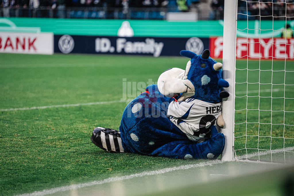 Fußball | Frauen | Saison 2024/2025  | DFB-Pokal der Frauen | Halbfinale | Hamburger SV vs. Werder Bremen | 23.03.2025 | Das Maskottchen Dino Hermann lehnt sich enttäuscht traurig am Torpfosten an
