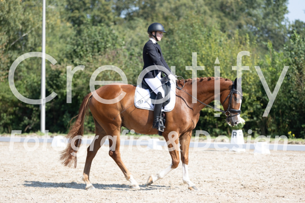 IMG_4362 | Creatify Fotografie