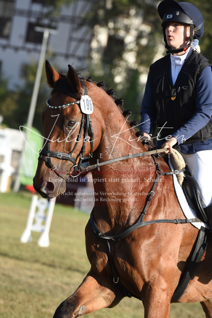 DSC_4996 | Pferde- und Turnierfotografie in Westsachsen. Pferdeportraits, Auftragszeichnungen und intuitive Kunst.