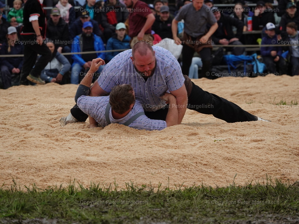 DSC07625 | Schwingen - Realized with Pictrs.com