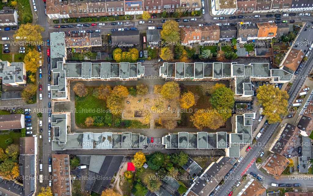 Gelsenkirchen231103036 | Luftbild, Vittinghoff Wohnsiedlung Mietshäuser und mit herbstlichen Laubbäumen im Innenhof, Schalke, Gelsenkirchen, Ruhrgebiet, Nordrhein-Westfalen, Deutschland