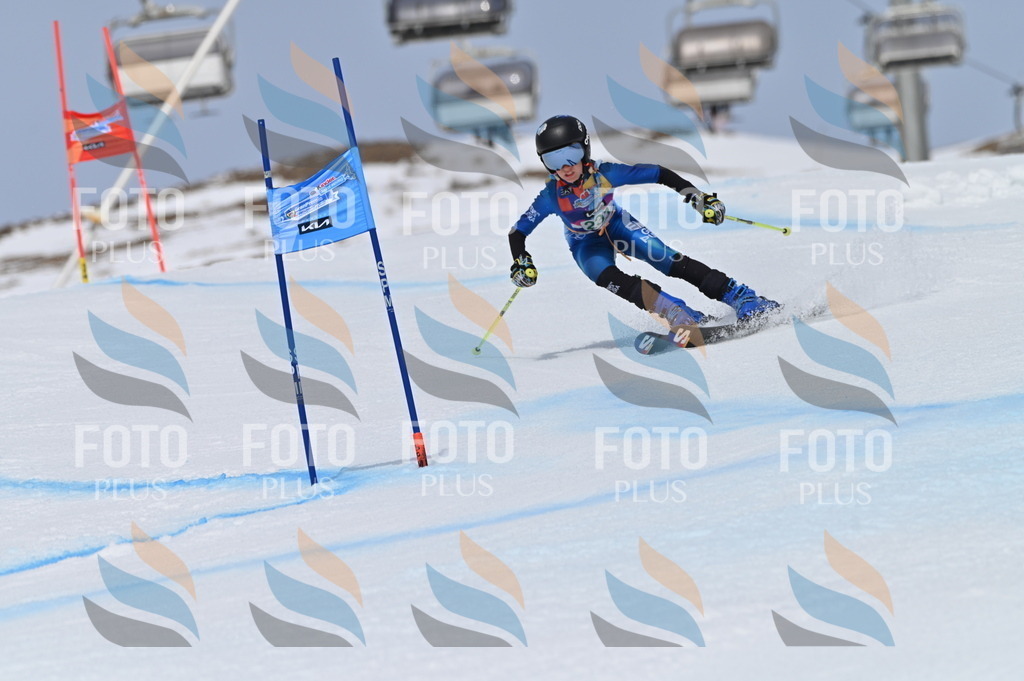 BGV_4573 | holidayphoto