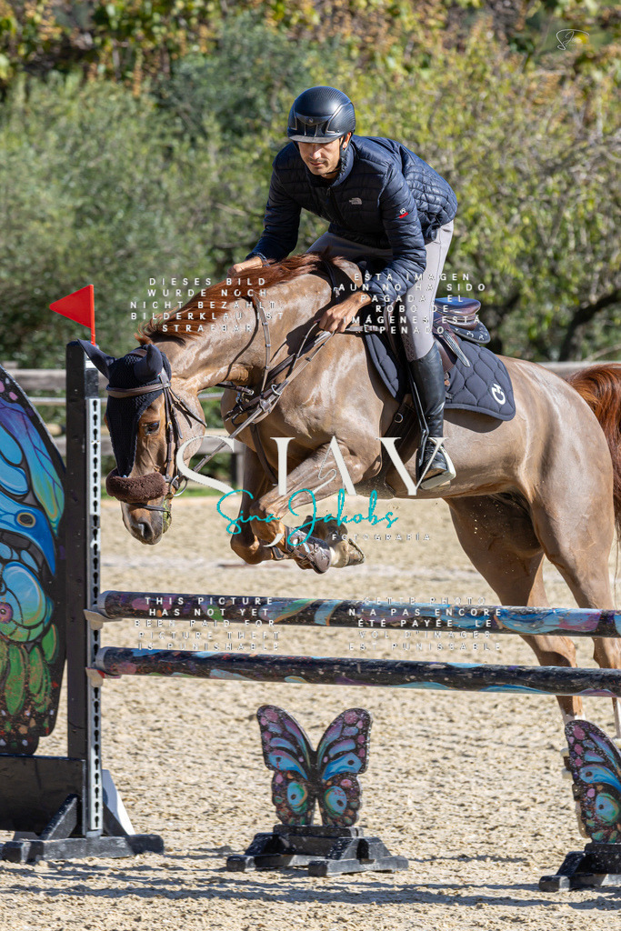 IMG_0724 | s-jay-photography - Realisiert mit Pictrs.com