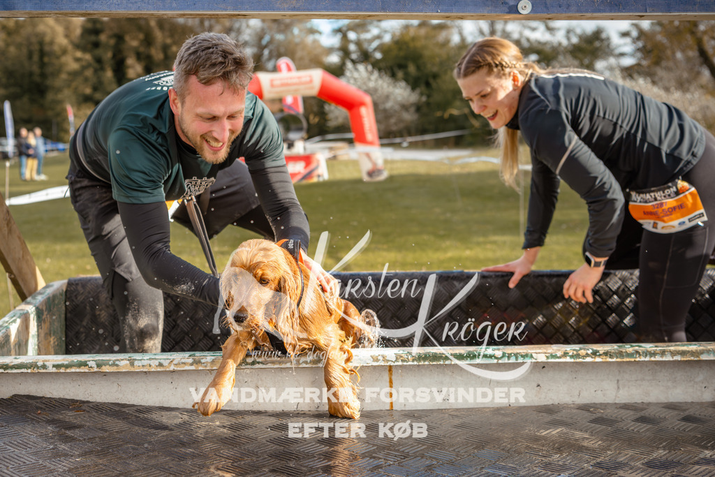 1523_ZZ96614 | kk-dogfotos