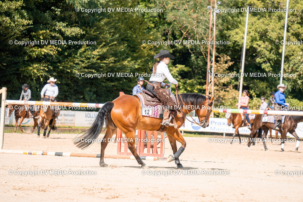 ZH100248 | dv-media-shop - Realisiert mit Pictrs.com