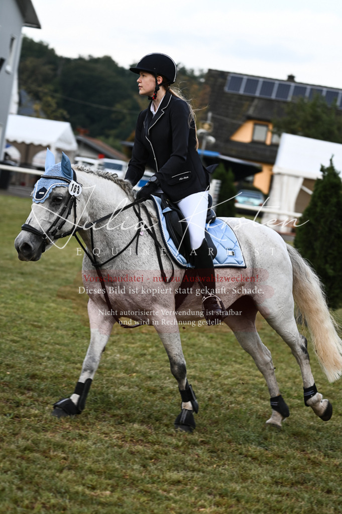 DSC_5530 | Pferde- und Turnierfotografie in Westsachsen. Pferdeportraits, Auftragszeichnungen und intuitive Kunst.