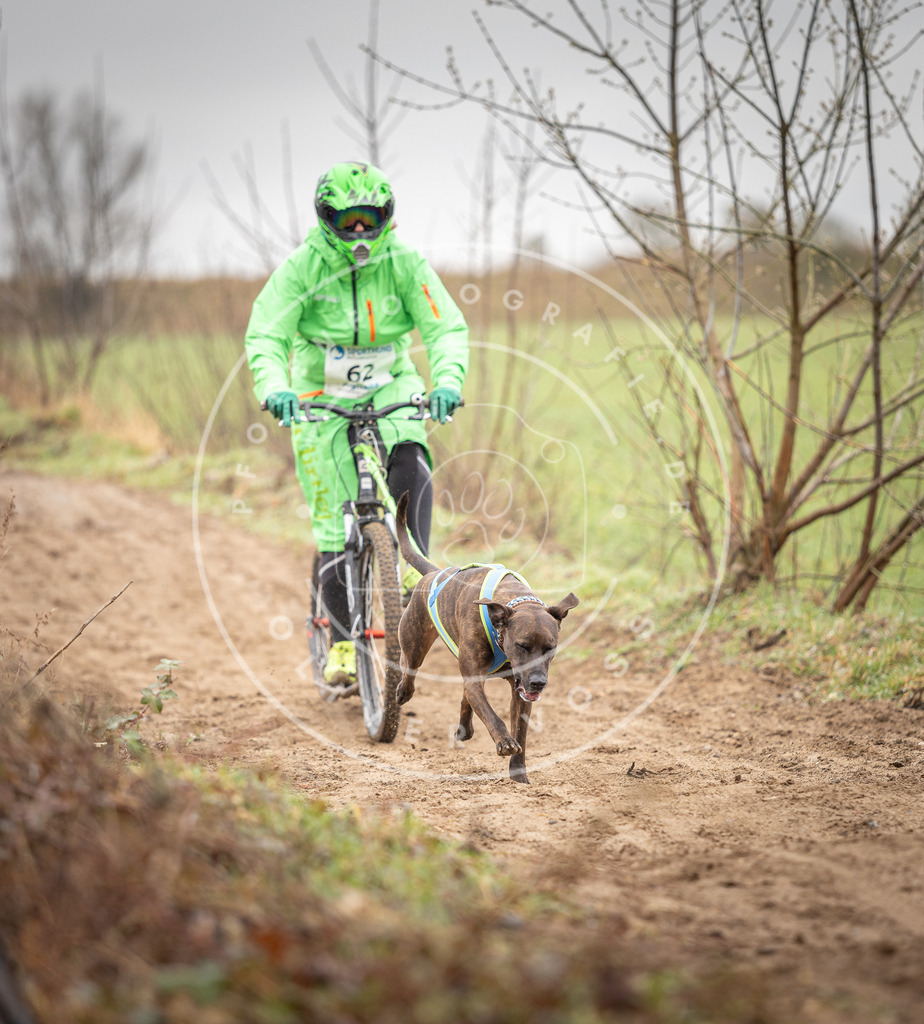 DV3A9411 | Hundefotografie, Tierfotograf, Pfotenfotografie, Fotoshooting Hund, Hunde Portrait, Hundesport, Hundeportraits, Heideshooting, Hunde, Sportfotograf, Hundefotograf, Turnierhundsport, THS,  - Realisiert mit Pictrs.com