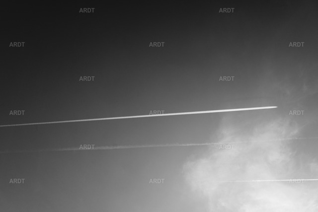 Momente 22 | ARDT Foto Kunst