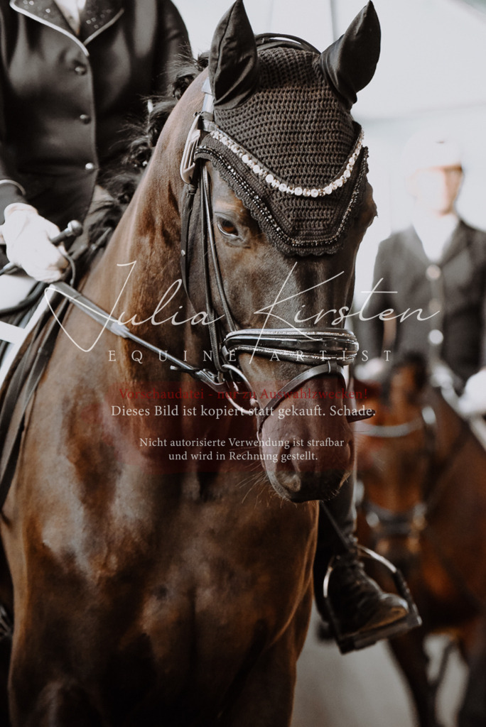 DSC_7546 | Pferde- und Turnierfotografie in Westsachsen. Pferdeportraits, Auftragszeichnungen und intuitive Kunst.