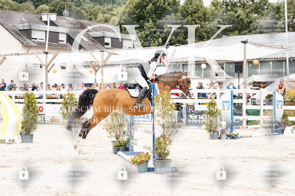 CK907872 | Turnierfotografie Pferdefotografie Trier Rheinland-Pfalz Pferdesport Reitsport Tierfotografie Sportfotografie Pferdevideo Pferdevideografie Equestrianvideography equestrianphotography  - Realisiert mit Pictrs.com