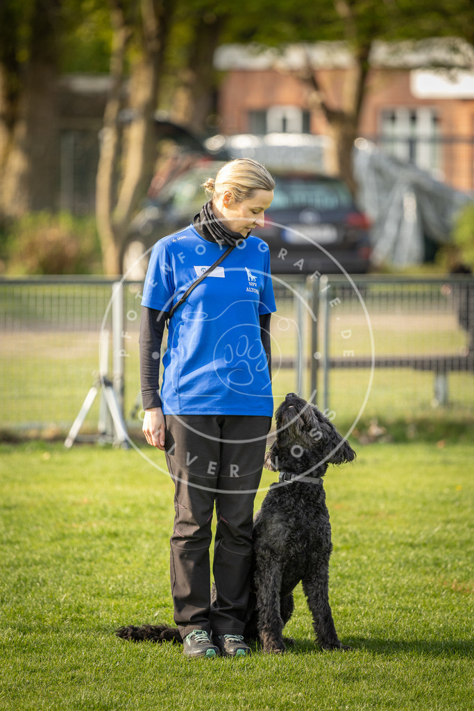Pfotenfotografie_DV3A4788 | Hundefotografie, Tierfotograf, Pfotenfotografie, Fotoshooting Hund, Hunde Portrait, Hundesport, Hundeportraits, Heideshooting, Hunde, Sportfotograf, Hundefotograf, Turnierhundsport, THS,  - Realisiert mit Pictrs.com