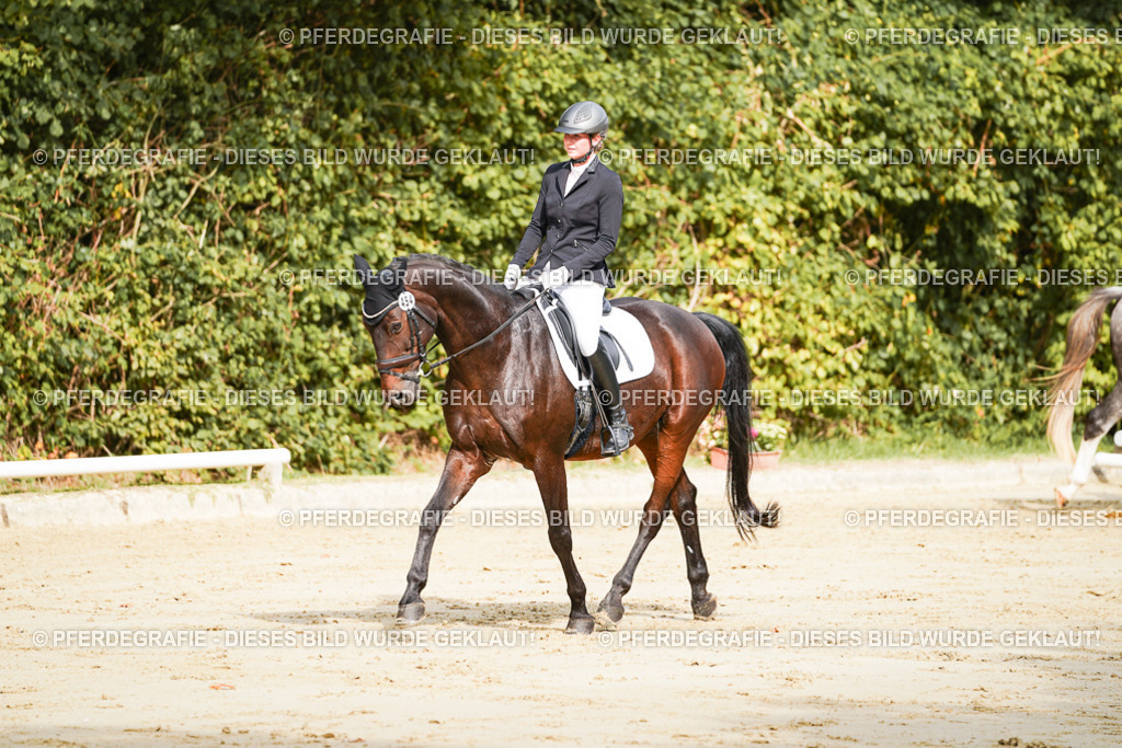 DSC01521 | Pferdegrafie