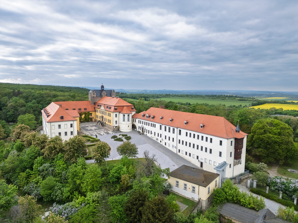 Schloss Ballenstedt | Wir machen aus Ihren Bildern Erinnerungen für die Ewigkeit | Hochwertige Fotografien für Ihr zu Hause. - Realisiert mit Pictrs.com