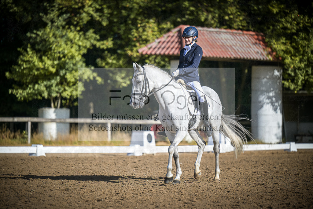 DOS_0786 | Entdecke hochwertige Reitturnierfotos von Foto Oger. Professionell, emotional und authentisch – jetzt Lieblingsmomente im Shop bestellen.Deutschlandweite Turnierfotografie. - Realisiert mit Pictrs.com