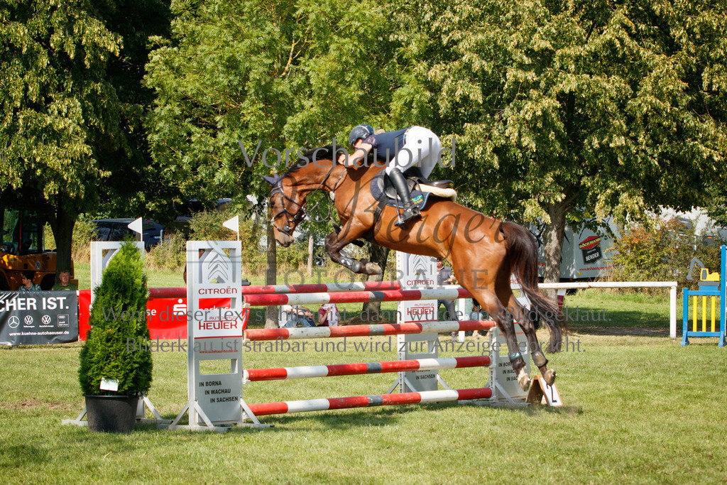 IMG_3625 | P. Berger Fotografie - Realisiert mit Pictrs.com