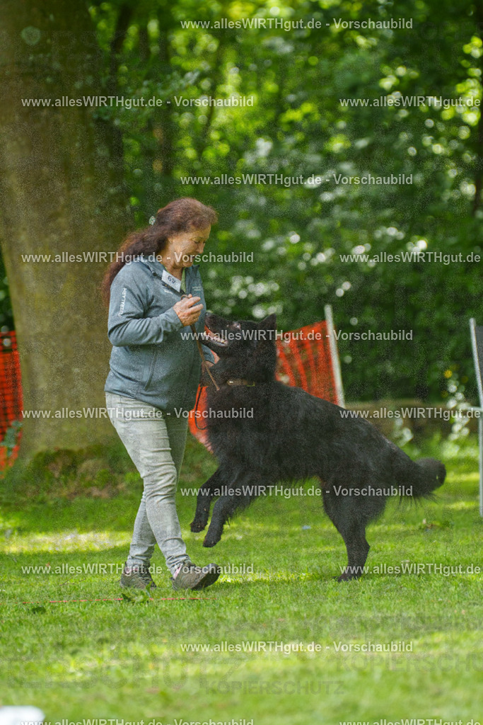 @allesWIRTHgut_Tierfotografie - www.allesWIRTHgut.de - 7R505639 | Professionelle Tierfotografie in Mönchengladbach von Daniel Wirth (allesWIRTHgut). Liebevolle & natürliche Bilder von Hunden & Katzen für unvergessliche Erinnerungen.