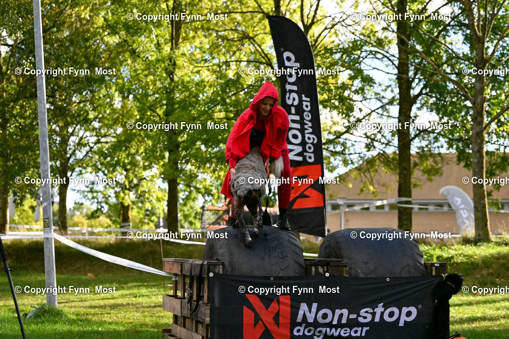 DSC_6793 | Hallo und herzlich Willkommen auf meiner Shop-Seite Fynn Most.

Ich wünsche Dir viel Spaß beim stöbern durch die Bilder, wenn Du Fragen hast oder Bilder vermisst, kannst du mir gerne eine Nachricht schreiben. - Realisiert mit Pictrs.com