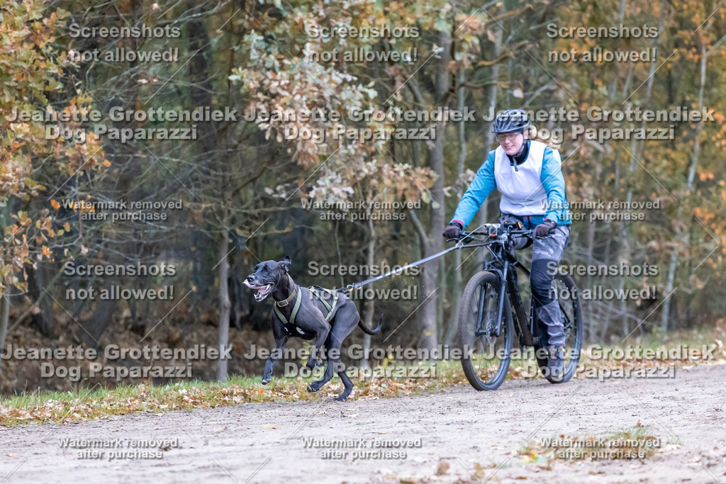 Dog Paparazzi - SD CaniX Championship 2025-286 | Dog Paparazzi Jeanette Grottendiek Fotografie & Videografie - Realisiert mit Pictrs.com