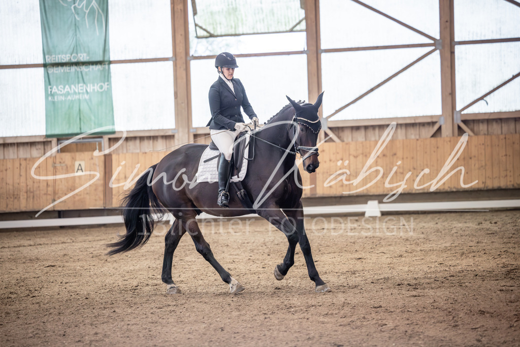 20251011-_3LI0118 | Tierfotografie Pferde, Hunde, Katzen, Haustiere.
Turnierfotografie Reitturniere, Reiten, Springreiten, Dressur in Hanau, dem Main-Kinzig-Kreis und dem Rhein-Main- Gebiet um Frankfurt