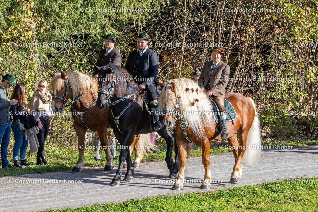 LBT24-241 | foto-bettina-krinner - Realisiert mit Pictrs.com