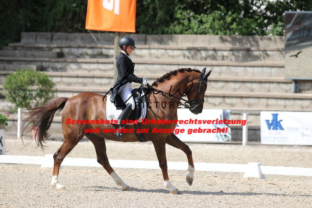 IMG_6861 | lmwpictures - Realisiert mit Pictrs.com