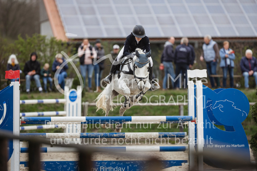 240330_Fruehlingsfest_Stil-M-958 | Deine schönsten Turniermomente als professionelle Fotos! Entdecke hochwertige Pferdesport-Fotografie im Online-Shop. Jetzt Fotos finden & bestellen!