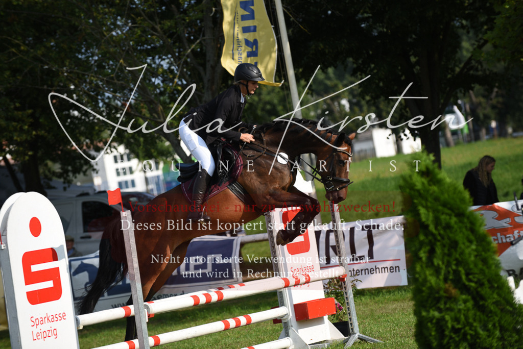 DSC_8696 | Pferde- und Turnierfotografie in Westsachsen. Pferdeportraits, Auftragszeichnungen und intuitive Kunst.