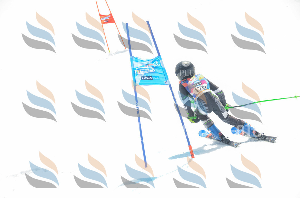 _ELE6624 | holidayphoto