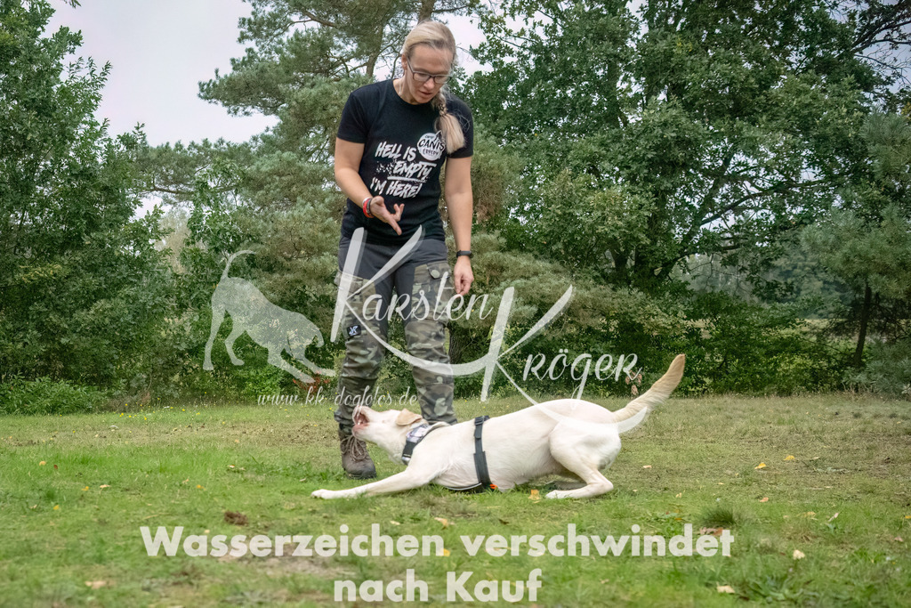 1221_ZZ90783-2-Bearbeitet | kk-dogfotos