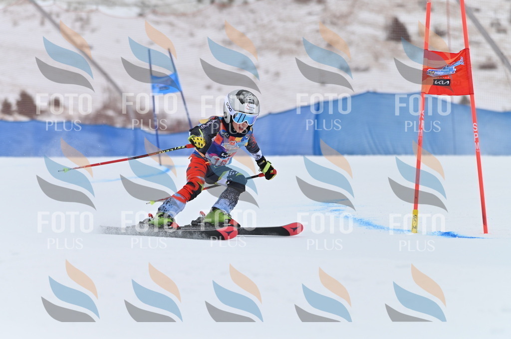 BGV_0117 | holidayphoto