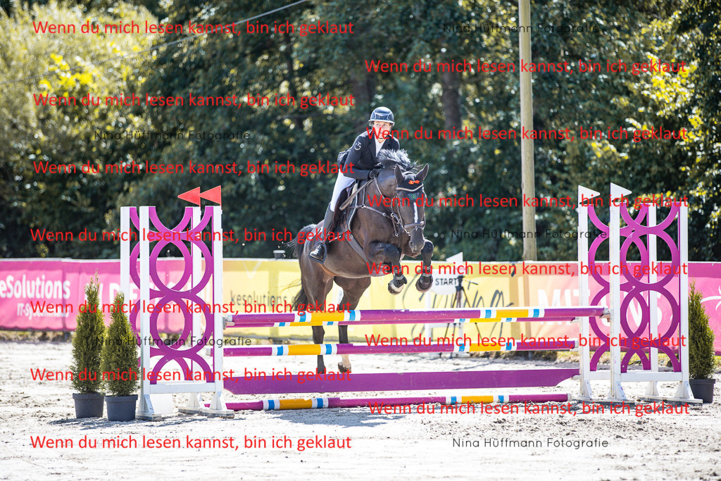 BK1A5192 | Turnierbilder Turnierfotos Nina Hüffmann Turnierfotografie Pferdefotografie Tierzeichnung Haustierzeichnung Pferdezeichnung Hundezeichnung Videograf  - Realisiert mit Pictrs.com