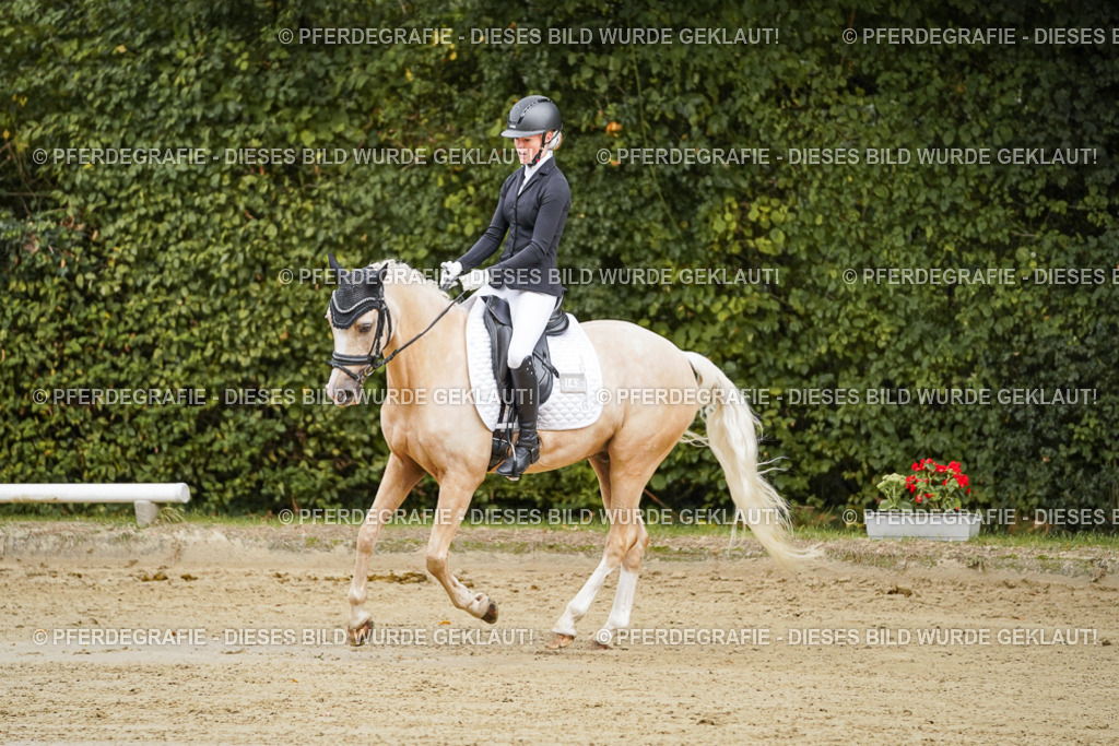 DSC08541 | Pferdegrafie