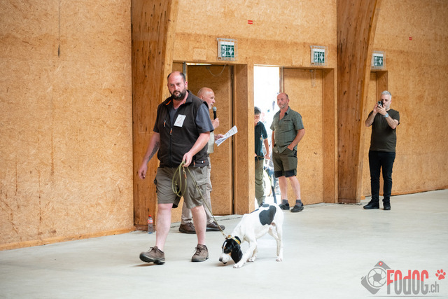 Expo Hunde CAC 2023 Escholznatt | Expo SLC/CCC/CSS (CAC) in Escholzmatt. 03.06.2023 Foto: Leo Wyden