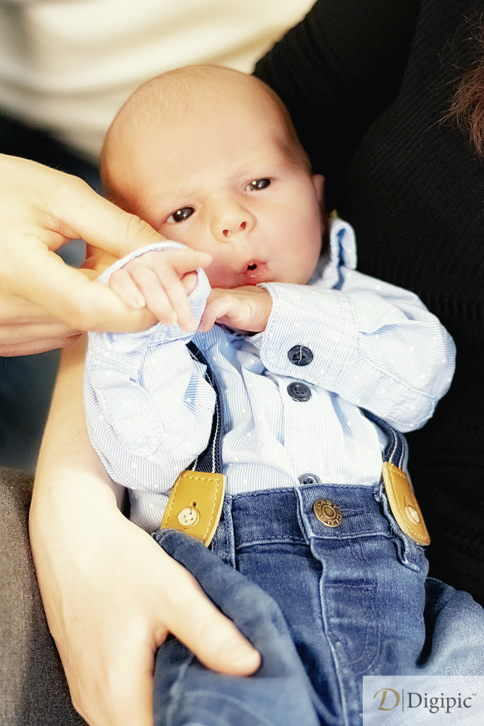 IMGL4718 | Alfred Kaipel Fotografen Webseite. Aus Digipic wird Fotografie Kaipel. Weil Fotos inspirieren, ist Fotografie kein Geschäftsmodell, sondern eine Aufgabe und Verpflichtung. Mit Wiener Handschlagqualität bringen wir das Erlebnis in die Welt. - Realisiert mit Pictrs.com