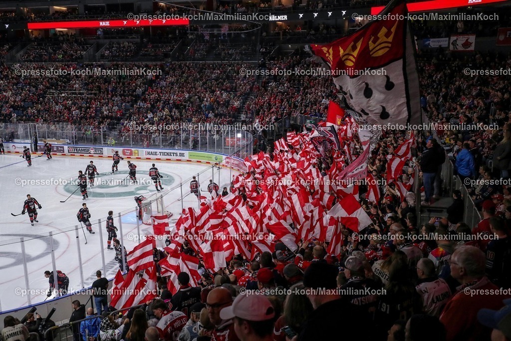 KEC1602250102096 | 16.02.2025, Eishockey, DEL, Kölner Haie - Düsseldorfer EG, Lanxess-Arena Köln: Feature Zuschauer Besucher volle Halle Innenansicht Übersichtsbild Übersicht Sportstätte Fans EInlaufshow 
