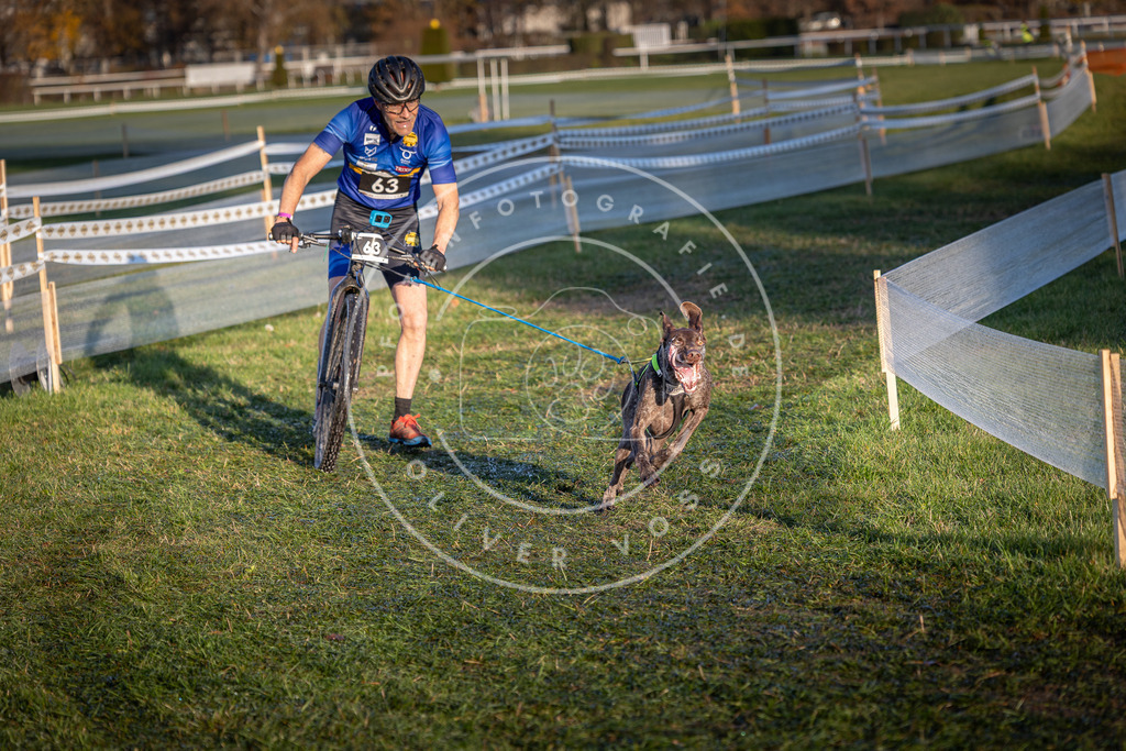 CaniXpix_0L8A3124 | Hundefotografie, Tierfotograf, Pfotenfotografie, Fotoshooting Hund, Hunde Portrait, Hundesport, Hundeportraits, Heideshooting, Hunde, Sportfotograf, Hundefotograf, Turnierhundsport, THS,  - Realisiert mit Pictrs.com
