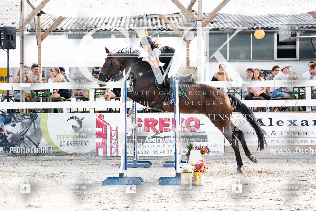 CK906145 | Turnierfotografie Pferdefotografie Trier Rheinland-Pfalz Pferdesport Reitsport Tierfotografie Sportfotografie Pferdevideo Pferdevideografie Equestrianvideography equestrianphotography  - Realisiert mit Pictrs.com