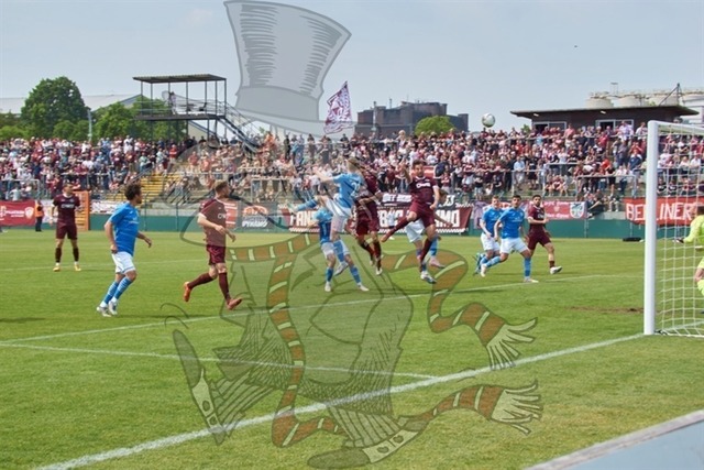 BFC Dynamo vs. FSV 63 Luckenwalde 048 | mythos-online-redaktion