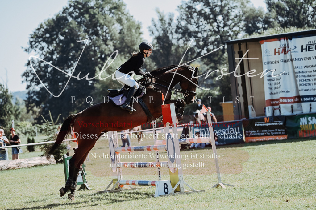 DSC_5644 | Pferde- und Turnierfotografie in Westsachsen. Pferdeportraits, Auftragszeichnungen und intuitive Kunst.