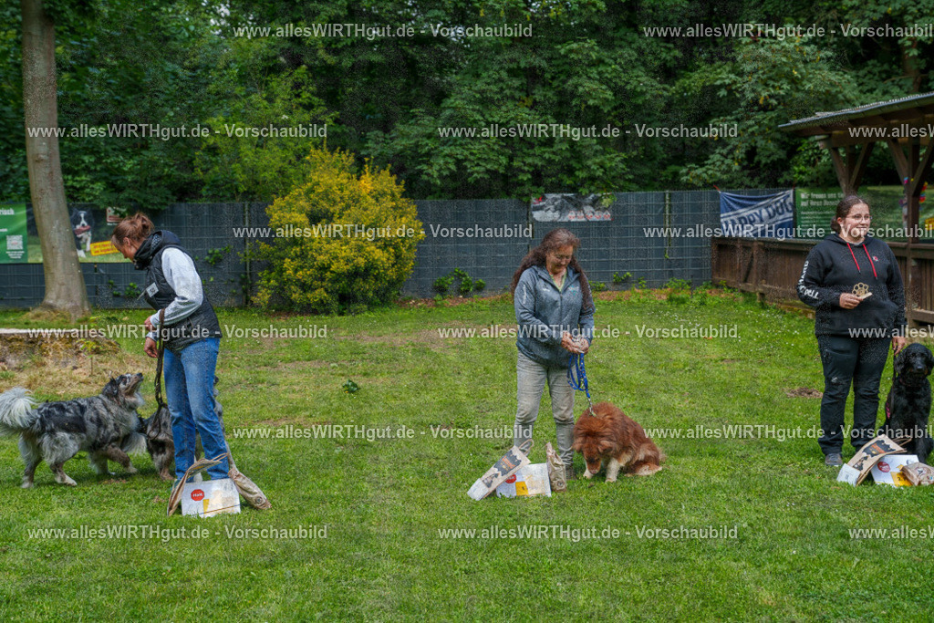 @allesWIRTHgut_Tierfotografie - www.allesWIRTHgut.de - 7R506165 | Professionelle Tierfotografie in Mönchengladbach von Daniel Wirth (allesWIRTHgut). Liebevolle & natürliche Bilder von Hunden & Katzen für unvergessliche Erinnerungen.