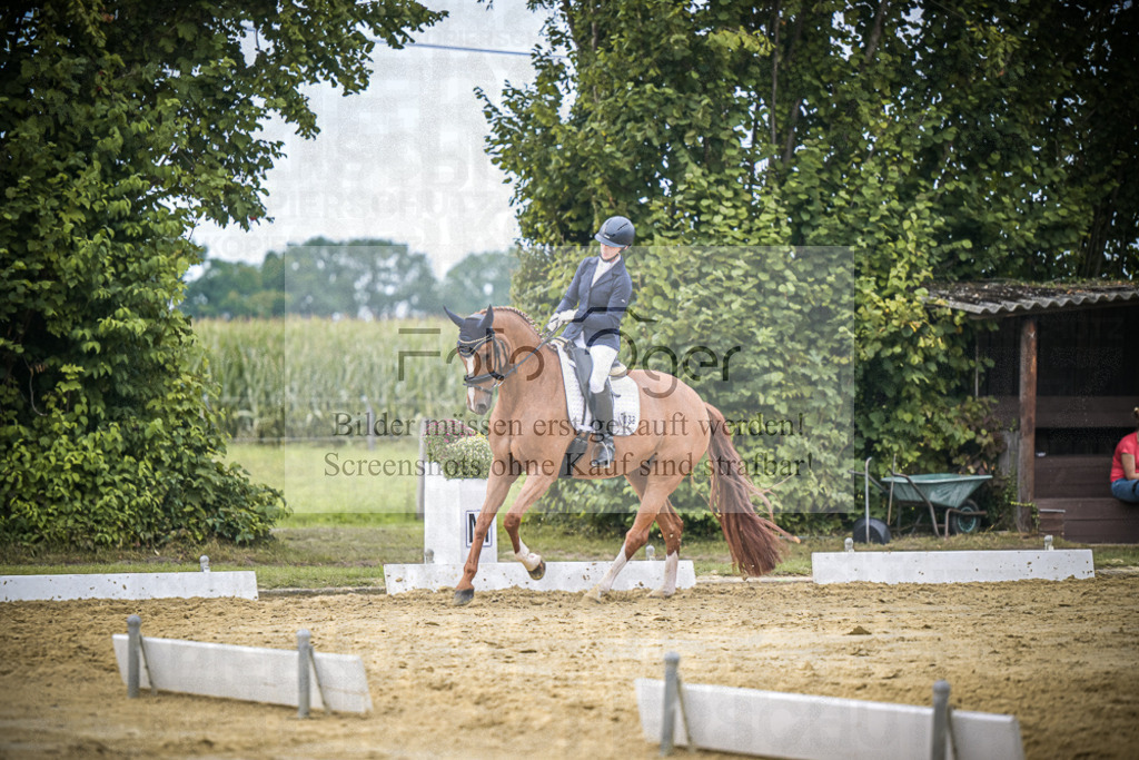 DOS_9641 | Entdecke hochwertige Reitturnierfotos von Foto Oger. Professionell, emotional und authentisch – jetzt Lieblingsmomente im Shop bestellen.Deutschlandweite Turnierfotografie. - Realisiert mit Pictrs.com