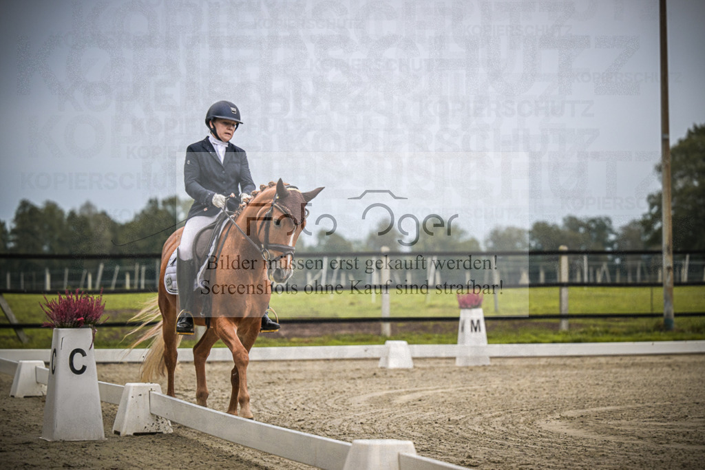 DOS_0267 | Entdecke hochwertige Reitturnierfotos von Foto Oger. Professionell, emotional und authentisch – jetzt Lieblingsmomente im Shop bestellen.Deutschlandweite Turnierfotografie. - Realisiert mit Pictrs.com