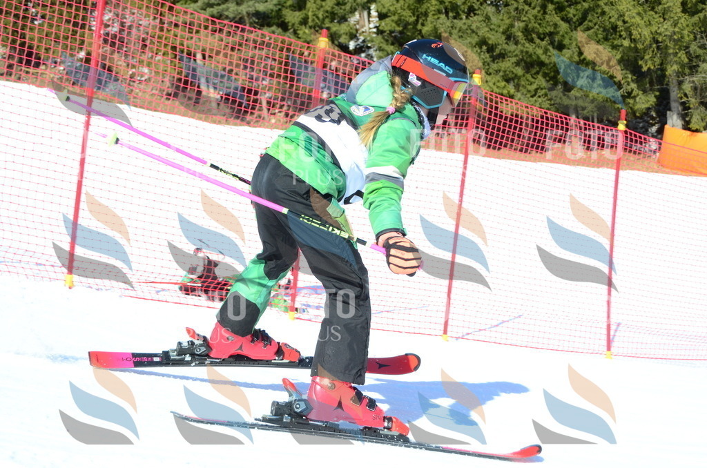 C5471 | holidayphoto